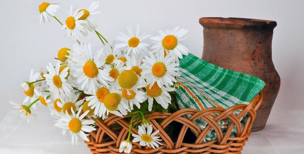 түймедақ гүлдерінен бетке арналған тоникті қалай жасауға болады